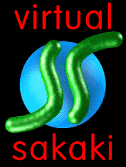 virtual sakaki